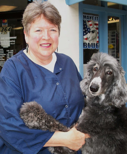 Bonnie's Dog & Cat Grooming