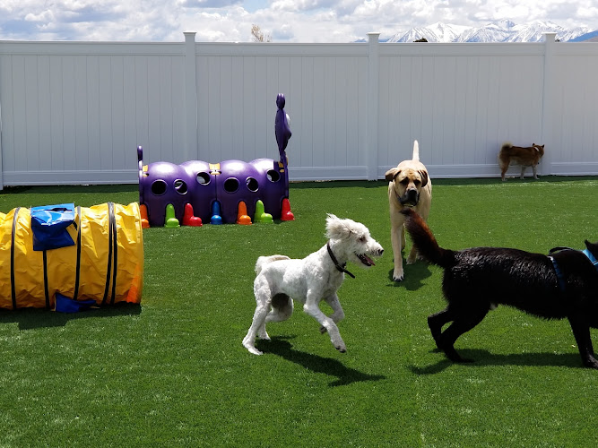 BooBoo's Buddies, LLC