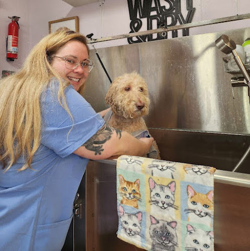 Boop Snoots & Boogie