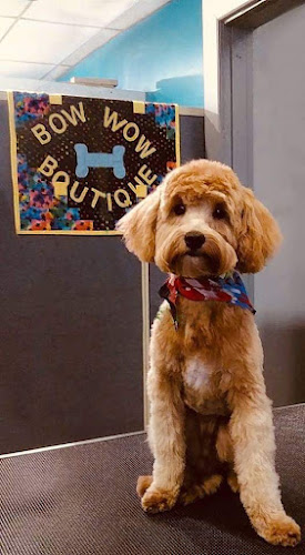 Bow Wow Boutique