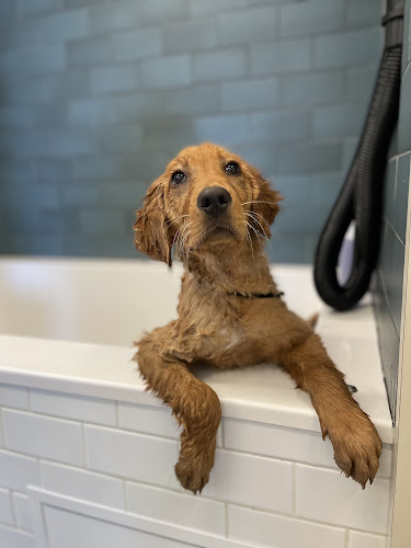 Bowie Barker West Hollywood