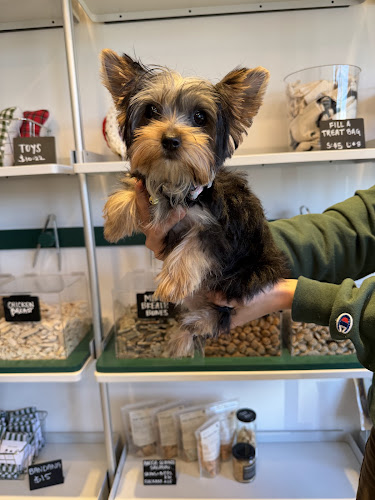 Bowie Barker Woodland Hills