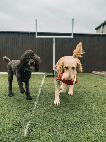 Bowz and Bones Pet Resort