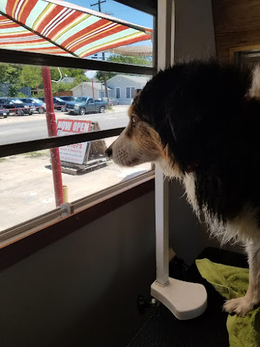 Bravado Dog Grooming