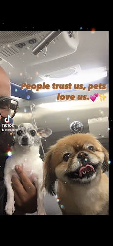 Breezy Paw Mobile Grooming