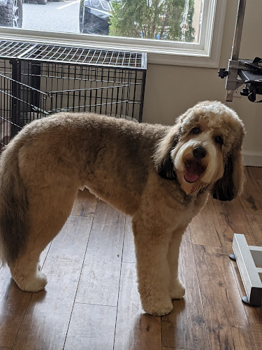 Bright Eyed & Bushy Tailed Grooming