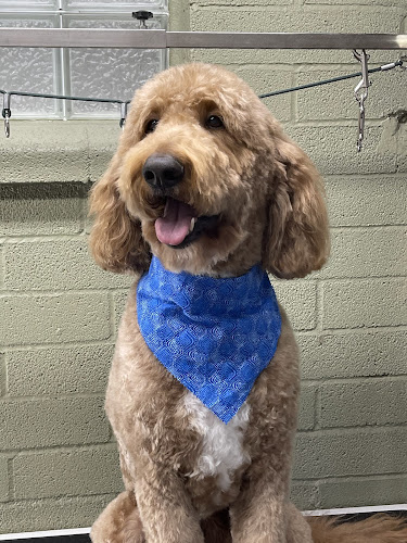 Brock's Pet Grooming