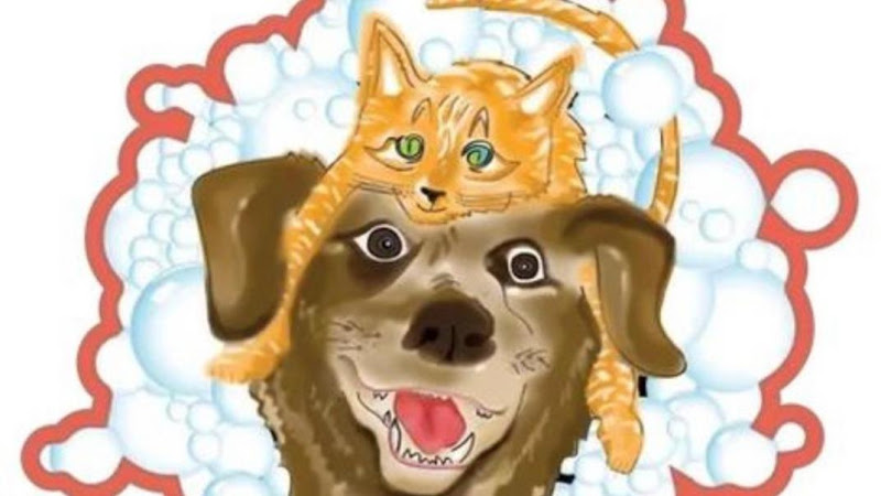 Brooklyn Pet Spa Pet Grooming Brooklyn