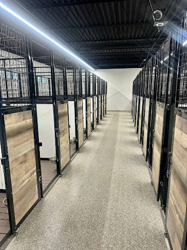 Bubbles and Bows - Loves Park