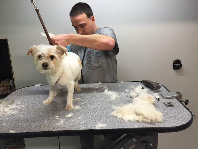 Bubbles Away Pet Salon