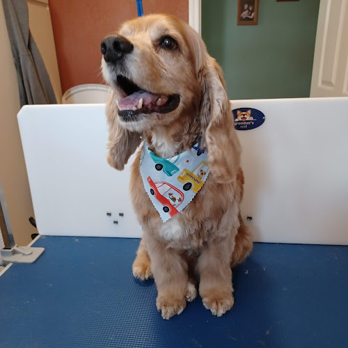 Bubbles & Bandanas Pet Grooming