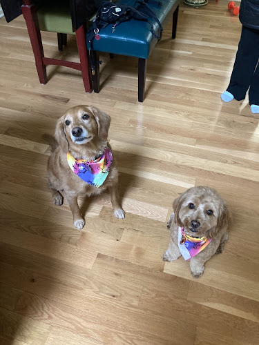 Bubbles & Beyond Pet Salon