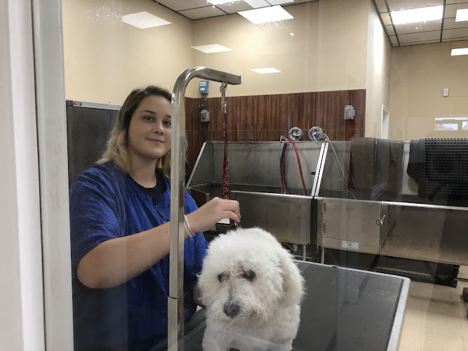 Bubbles & Bows Dog Grooming Salon