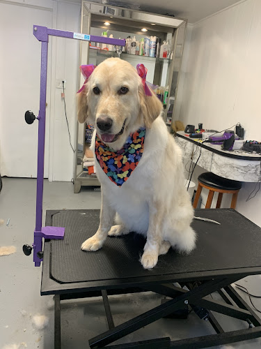 Bubbles & Bows on Britton