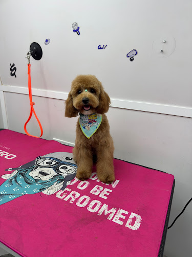 Bubbles Mobile Pets Grooming