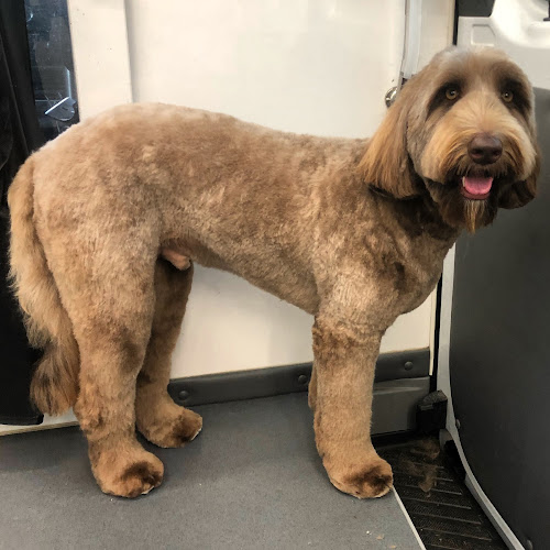 Bubbles N Bones Mobile Pet Grooming