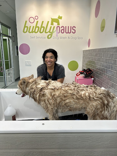 Bubbly Paws Jacksonville