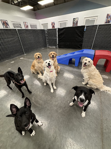 Buddies: Pet Daycare, Boarding and Grooming