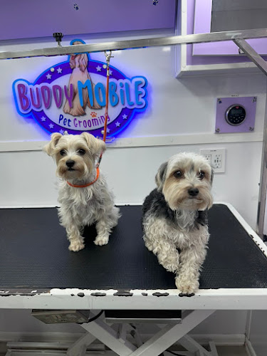 Buddy Mobile Pet Grooming