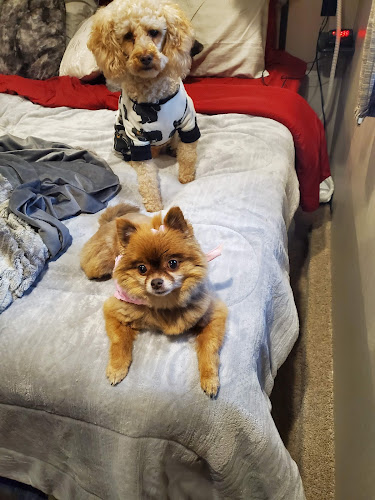 Budget Cutts for your pups