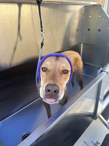 Buds N Suds Grooming