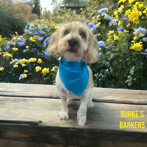 Burke’s Barkers Pet Grooming and Boarding