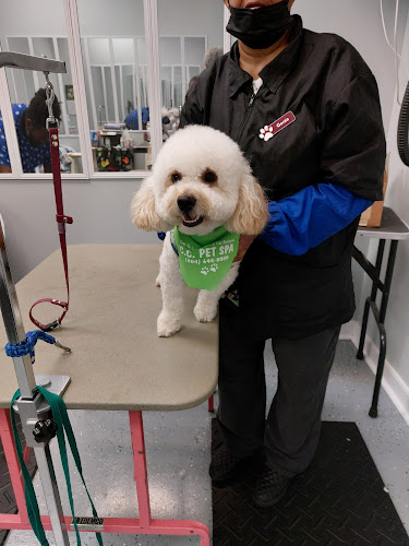 C.C. Pet Spa