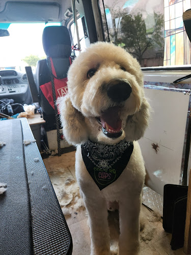 Cal's k9 Clips Mobile Dog Grooming