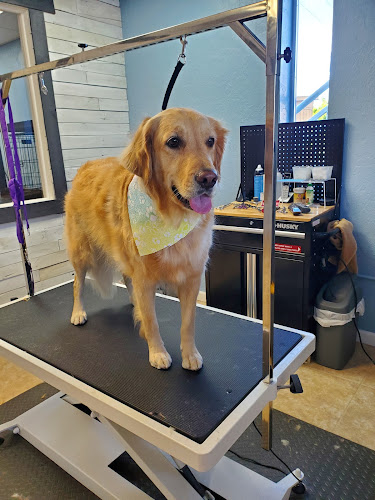 Callin' All Paws Pet Grooming