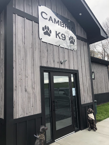 Cambria K9