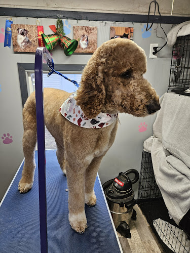 Candy Paws Pooch Parlor