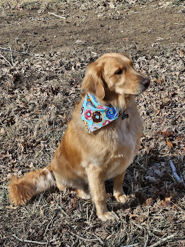 Canine Clip ‘N Shine LLC