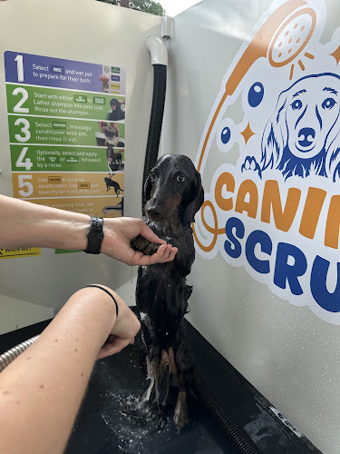 Canine Scrub Club