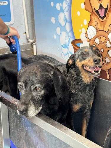 Cap'n Mike's Self-Service Dog Bath