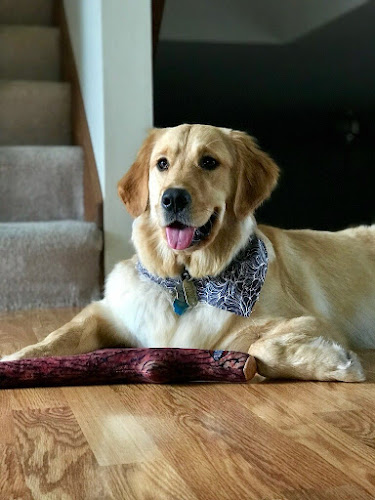 Cardinal Hill Grooming LLC