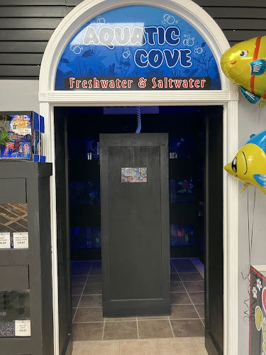 Carm's Dog House- Downtown Syracuse