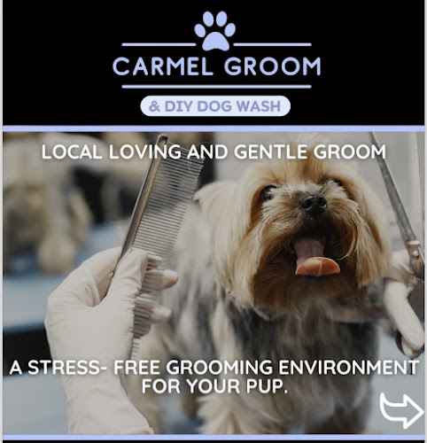 Carmel Groom & DIY Dog Wash