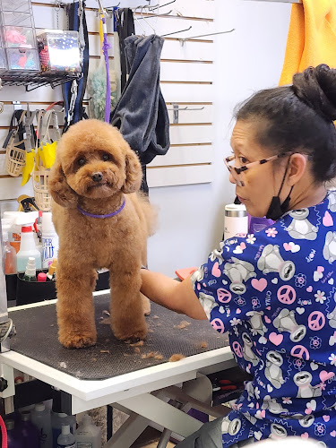 Carolina Grooming and Pet Products