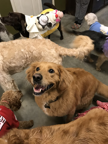 Cassie & Lassie's Inc's Happy Paws Pals Village