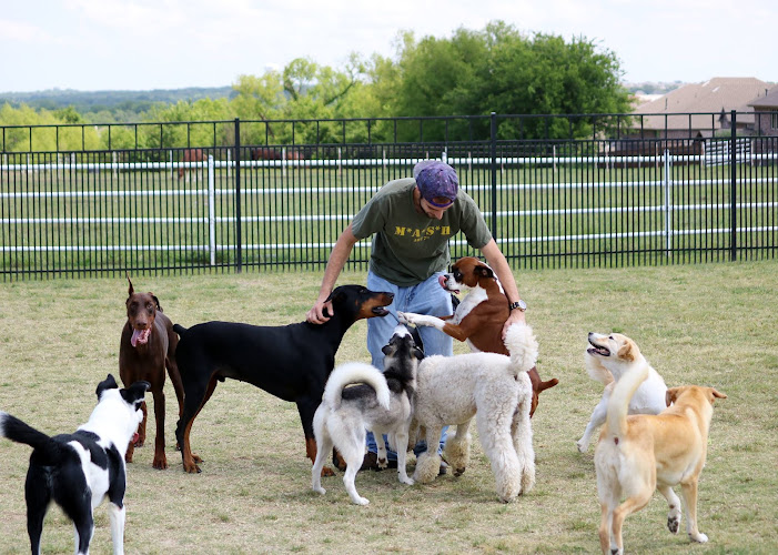 Castle Creek Pet Resort & Spa