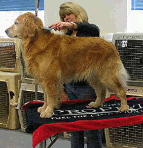 Catskill Mountain Bed N Biscuit