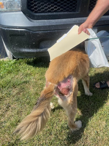 Cedar Run Pet Resort LLC