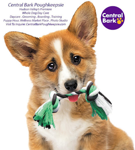 Central Bark Poughkeepsie