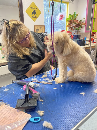 Chantell's All Breed Animal Grooming