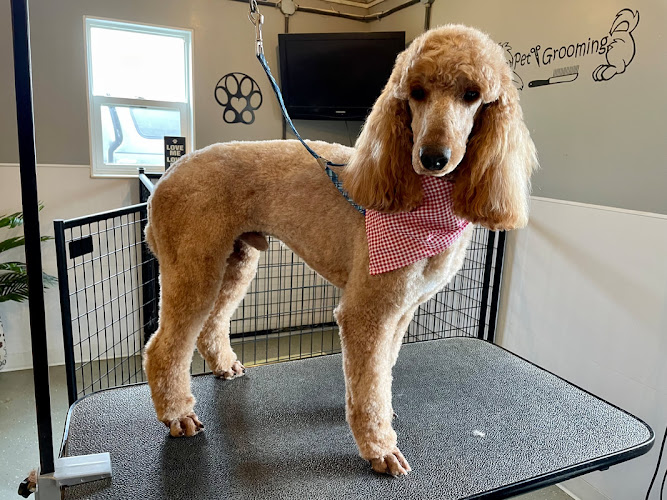 Charcoal Ridge Doggy Daycare, Boarding and Grooming
