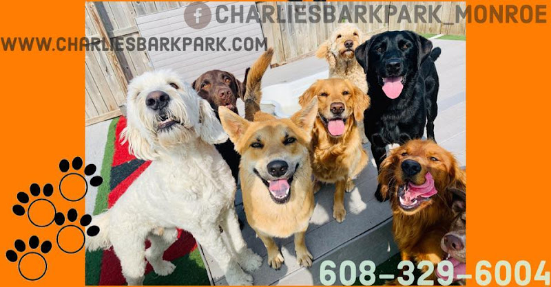 Charlie's Bark Park - Belleville