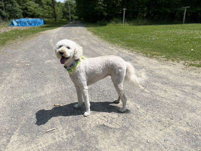 Chevelle's Mudpuppies Pet Salon