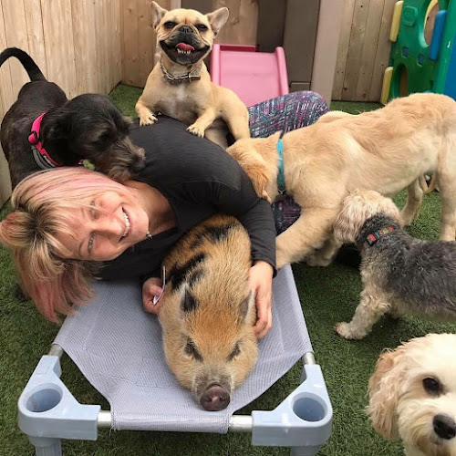 Chewie's Playland (North Location)