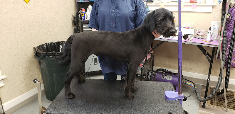 Christina's Critter Cuts