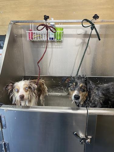 Chrystal Paws Dog Grooming LLC